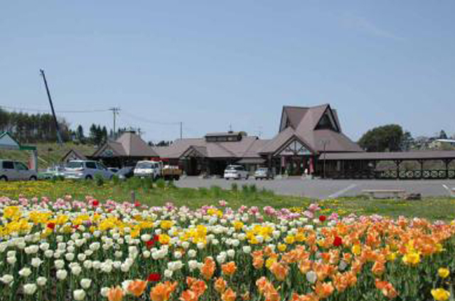 チューリップとミル・みるハウス